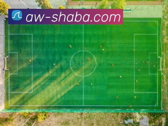 沙巴体育平台发展历程